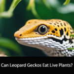 Can Leopard Geckos Eat Live Plants