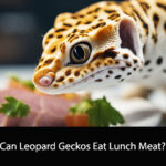 Can Leopard Geckos Eat Lunch Meat