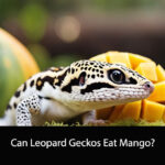 Can Leopard Geckos Eat Mango