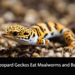 Can Leopard Geckos Eat Mealworms and Beetles