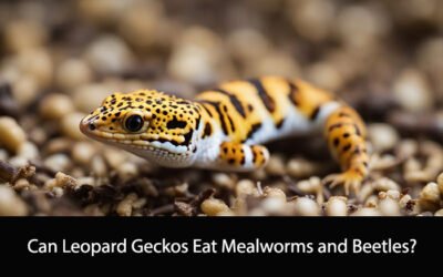 Can Leopard Geckos Eat Mealworms and Beetles?