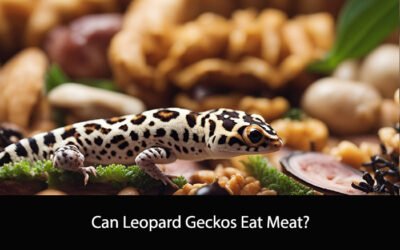 Can Leopard Geckos Eat Meat?