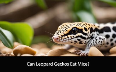 Can Leopard Geckos Eat Mice?