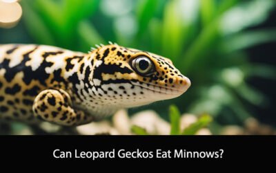 Can Leopard Geckos Eat Minnows?