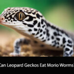 Can Leopard Geckos Eat Morio Worms