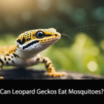 Can Leopard Geckos Eat Mosquitoes