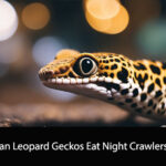 Can Leopard Geckos Eat Night Crawlers