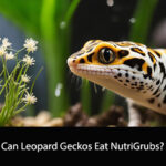 Can Leopard Geckos Eat NutriGrubs