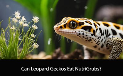 Can Leopard Geckos Eat NutriGrubs?