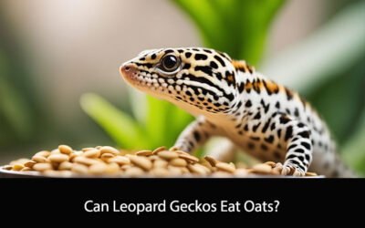 Can Leopard Geckos Eat Oats?