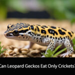 Can Leopard Geckos Eat Only Crickets