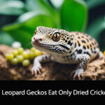 Can Leopard Geckos Eat Only Dried Crickets