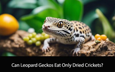 Can Leopard Geckos Eat Only Dried Crickets?