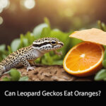 Can Leopard Geckos Eat Oranges
