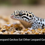 Can Leopard Geckos Eat Other Leopard Geckos
