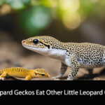 Can Leopard Geckos Eat Other Little Leopard Geckos