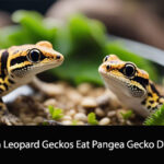 Can Leopard Geckos Eat Pangea Gecko Diet