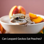 Can Leopard Geckos Eat Peaches