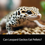 Can Leopard Geckos Eat Pellets
