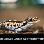 Can Leopard Geckos Eat Phoenix Worm
