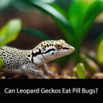 Can Leopard Geckos Eat Pill Bugs