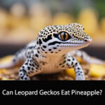 Can Leopard Geckos Eat Pineapple