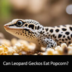 Can Leopard Geckos Eat Popcorn