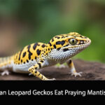 Can Leopard Geckos Eat Praying Mantis