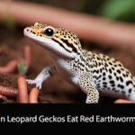 Can Leopard Geckos Eat Red Earthworms