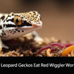 Can Leopard Geckos Eat Red Wiggler Worms