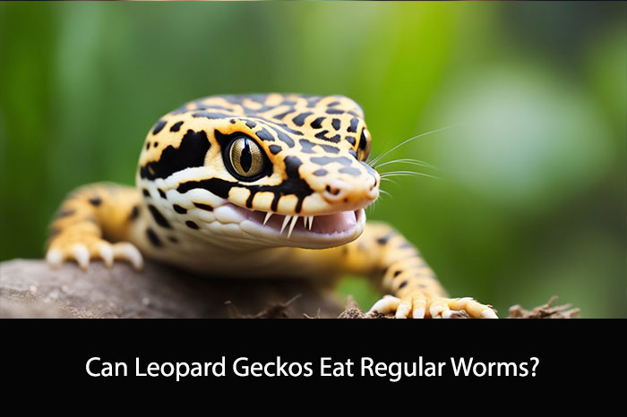 Can Leopard Geckos Eat Regular Worms