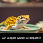 Can Leopard Geckos Eat Repashy