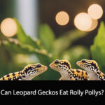 Can Leopard Geckos Eat Rolly Pollys