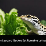 Can Leopard Geckos Eat Romaine Lettuce