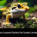Can Leopard Geckos Eat Scarab Larvae