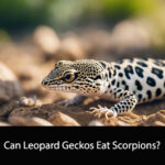 Can Leopard Geckos Eat Scorpions