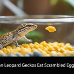 Can Leopard Geckos Eat Scrambled Eggs