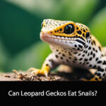 Can Leopard Geckos Eat Snails