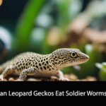 Can Leopard Geckos Eat Soldier Worms