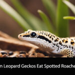 Can Leopard Geckos Eat Spotted Roaches