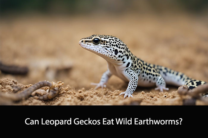 Can Leopard Geckos Eat Wild Earthworms