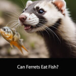 Can Ferrets Eat Fish