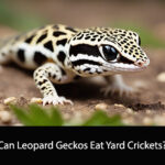 Can Leopard Geckos Eat Yard Crickets