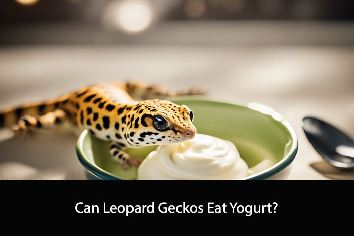 Can Leopard Geckos Eat Yogurt