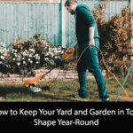 How to Keep Your Yard and Garden