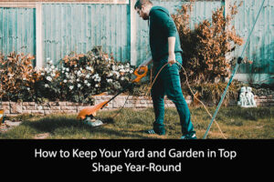How to Keep Your Yard and Garden