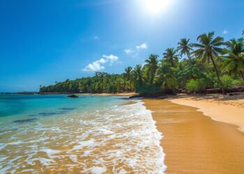 Dalawella Beach Sri Lanka