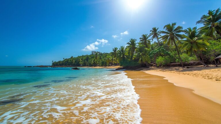 Dalawella Beach Sri Lanka